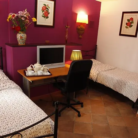 Cocus Catania